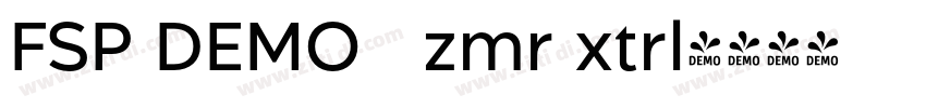 FSP DEMO   zmr xtrl字体转换